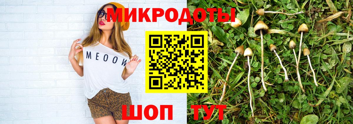 Псилоцибиновые грибы мицелий Кемерово
