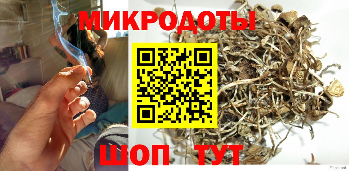 Галлюциногенные грибы Cubensis  Вход с VPN  Галлюциногенные грибы MAGIC MUSHROOMS  Кемерово 