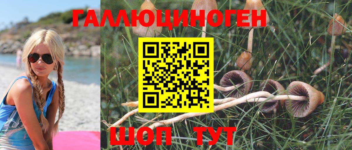 A PVP СОЛЬ кристаллы  Кемерово  ТГК  Меф МЯУ МЯУ   MDMA  Каннабис  Вход с VPN  Гашиш 